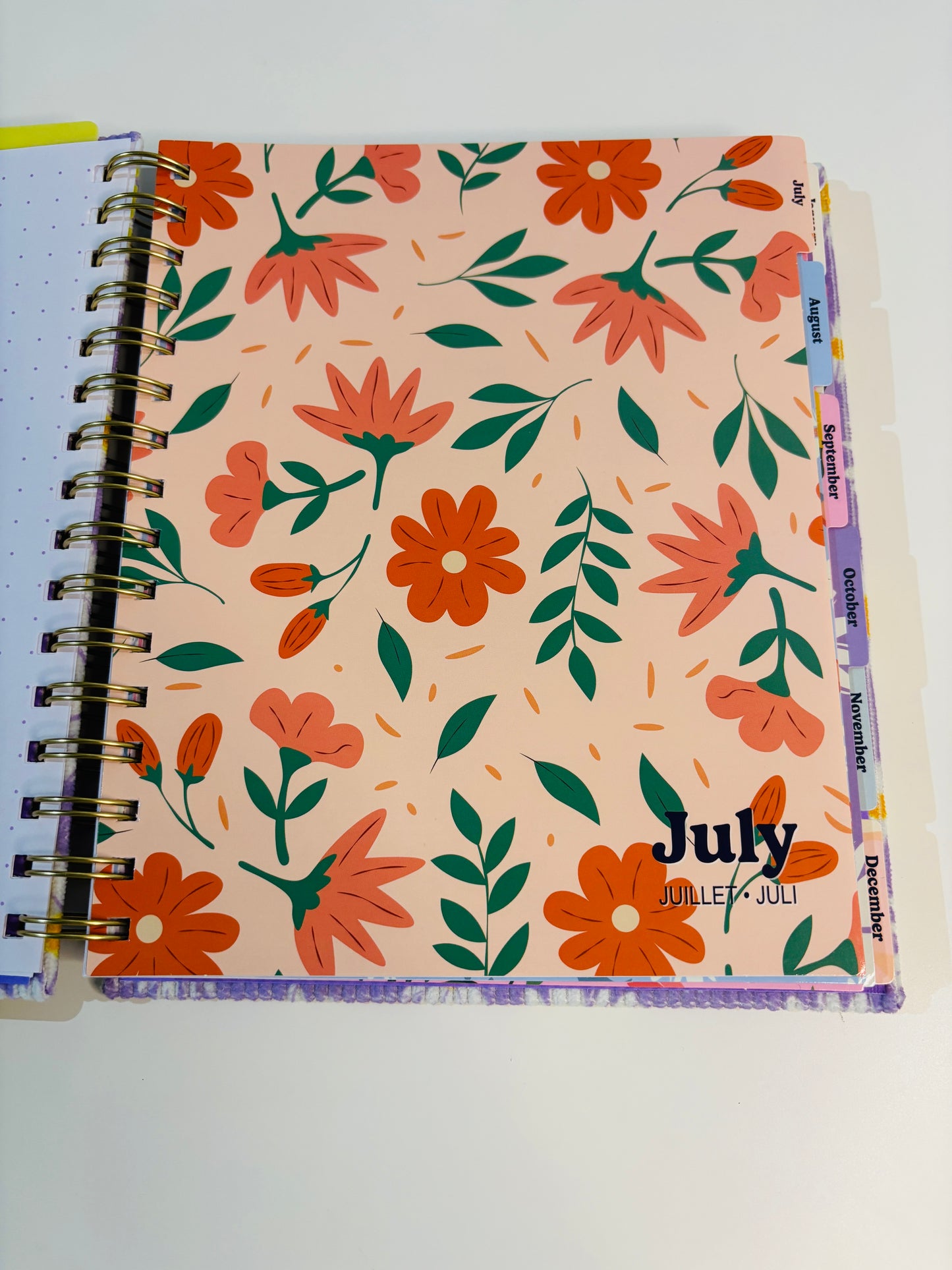 Lilly Selfcare Journal (2025-2026)