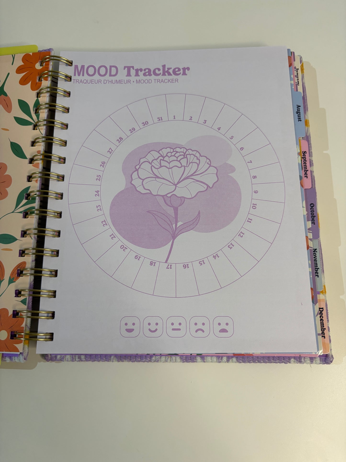Lilly Selfcare Journal (2025-2026)