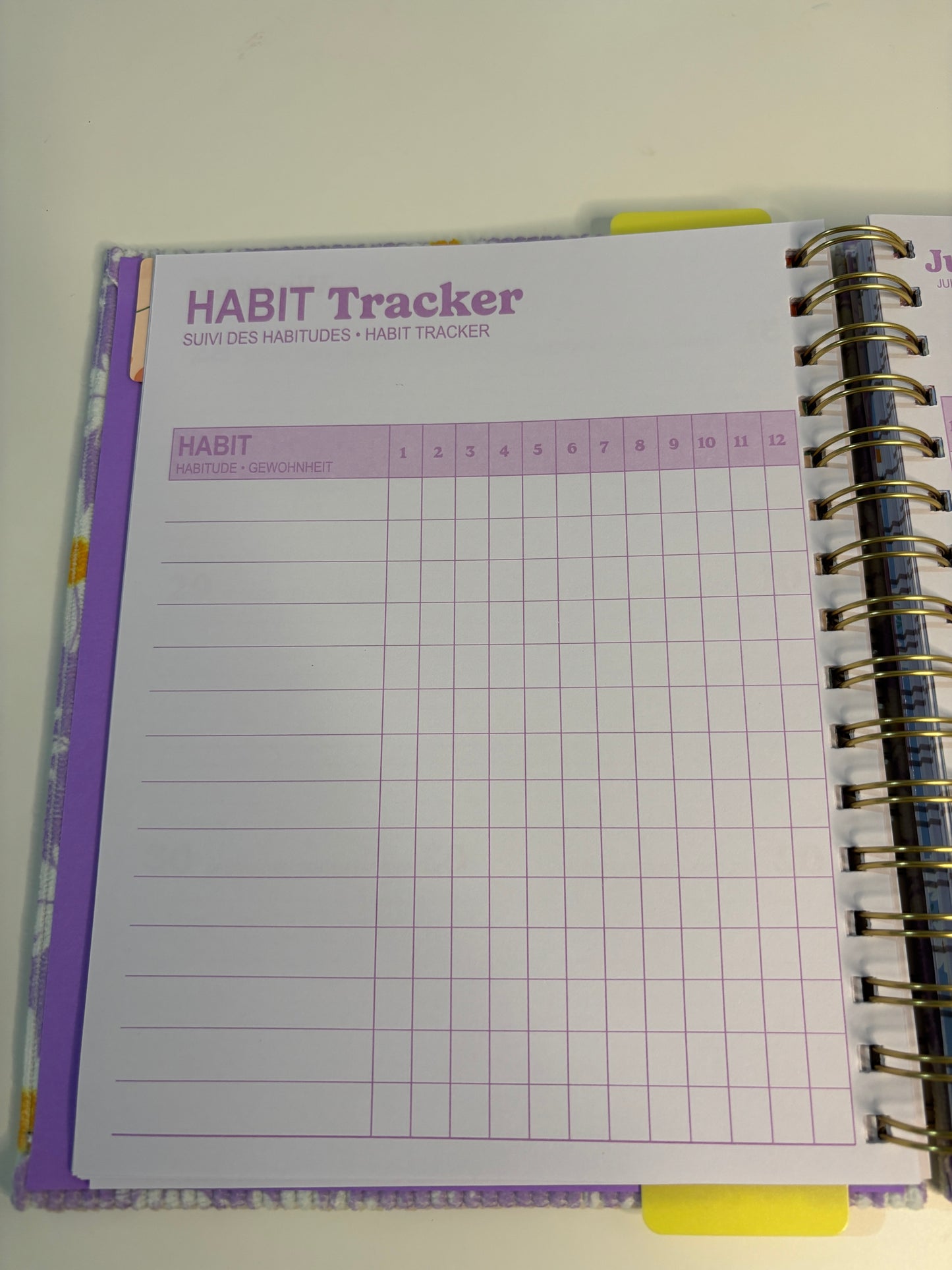 Lilly Selfcare Journal (2025-2026)