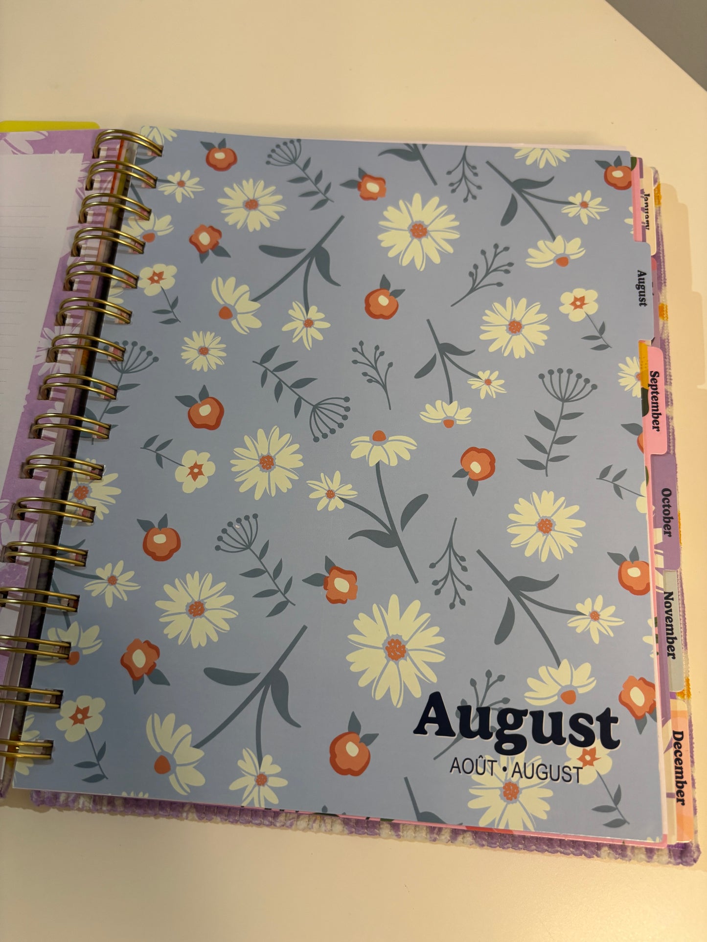 Lilly Selfcare Journal (2025-2026)