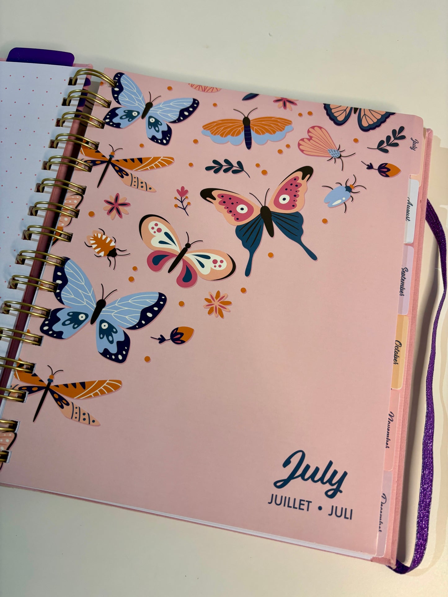 Butterfly Selfcare Journal (2025-2026)