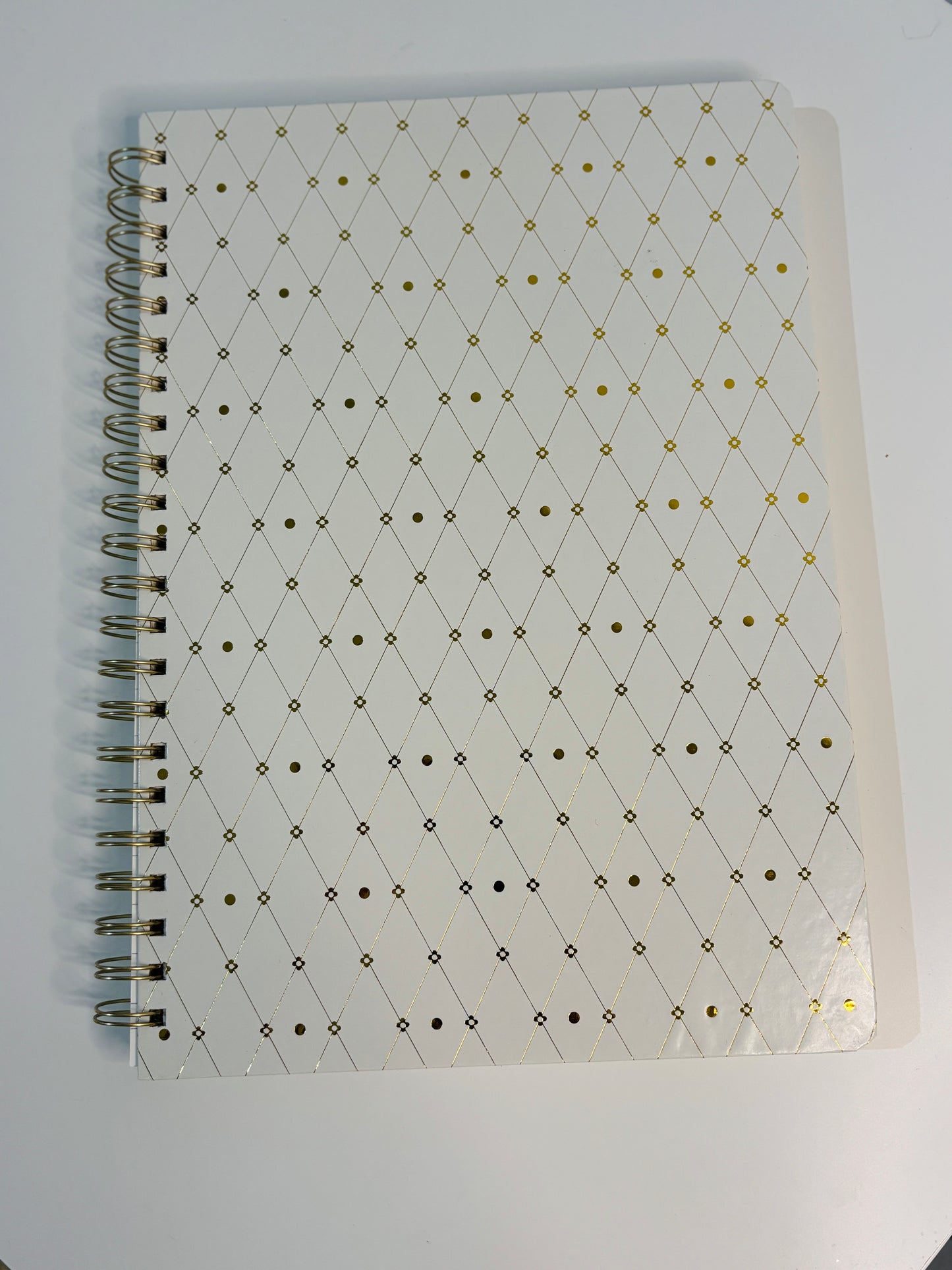 Lady A4 Notebook (Lined)