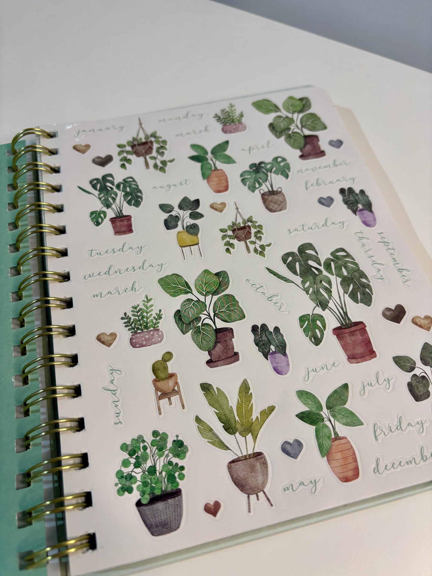 The Plant Lady Journal (Undated)