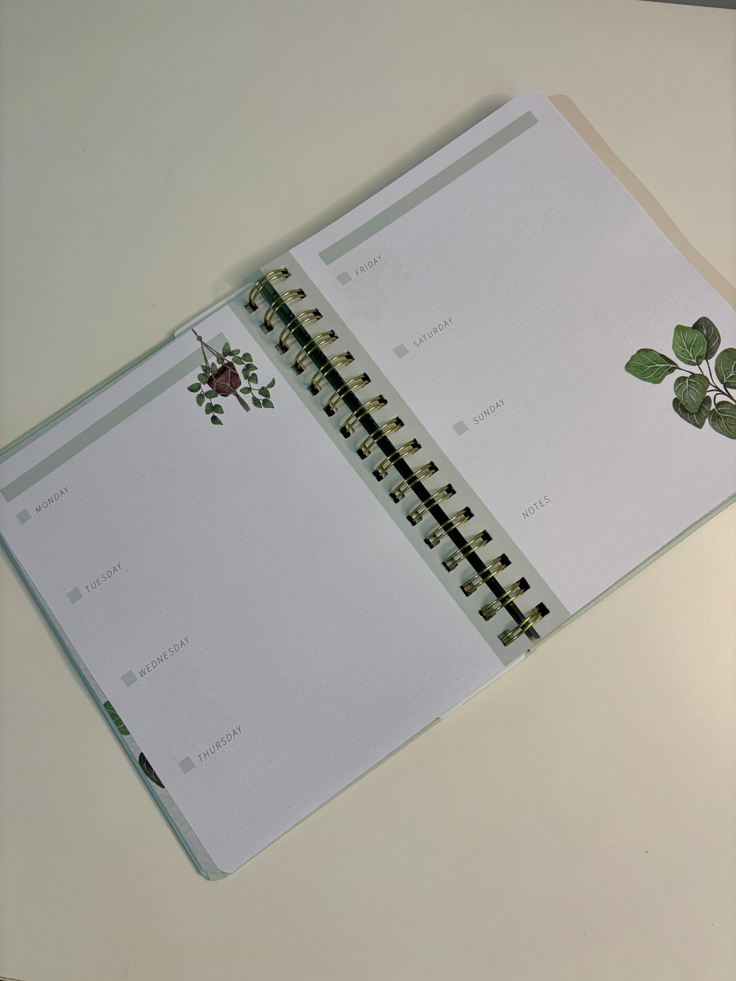 The Plant Lady Journal (Undated)