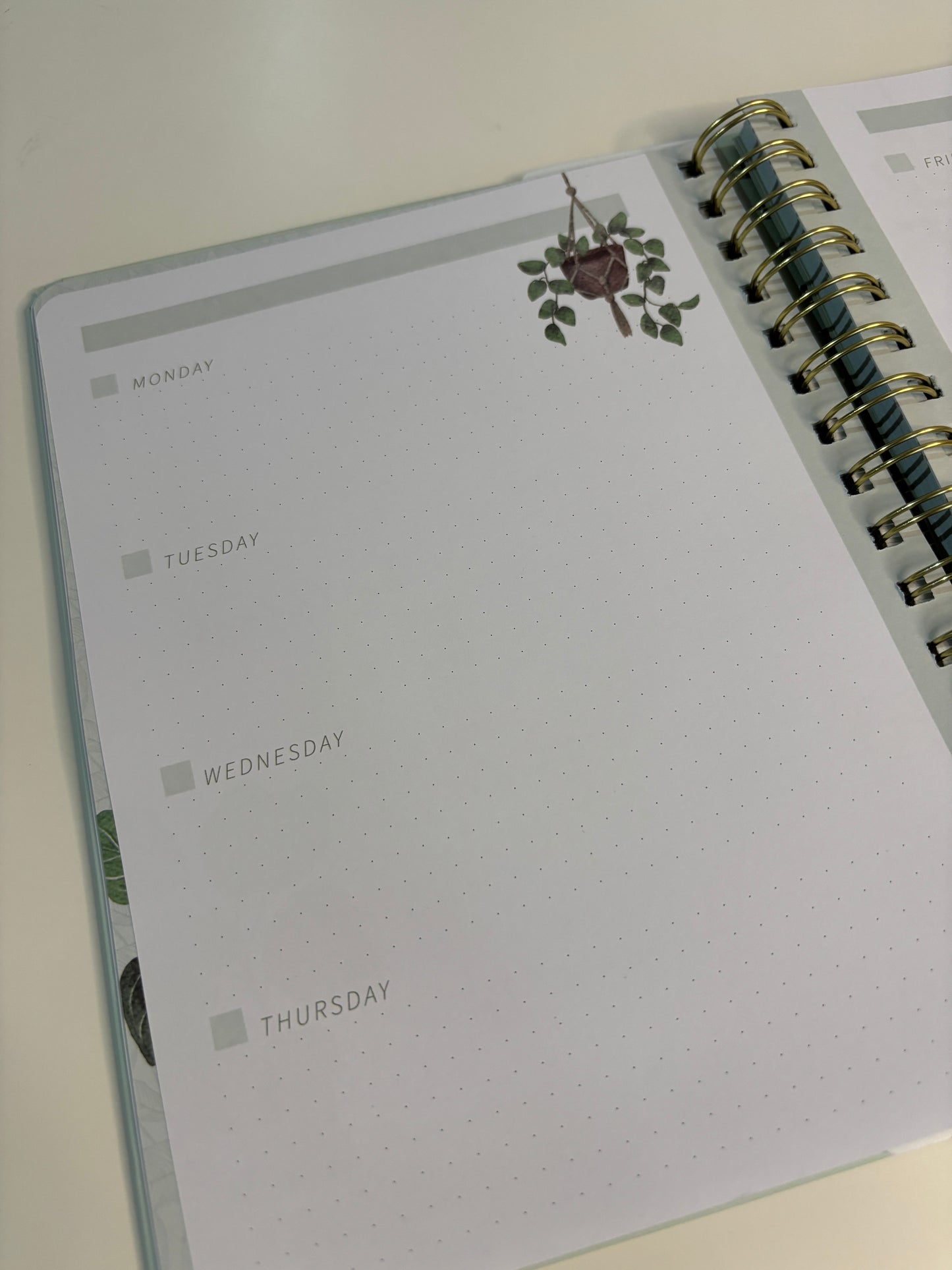 The Plant Lady Journal (Undated)