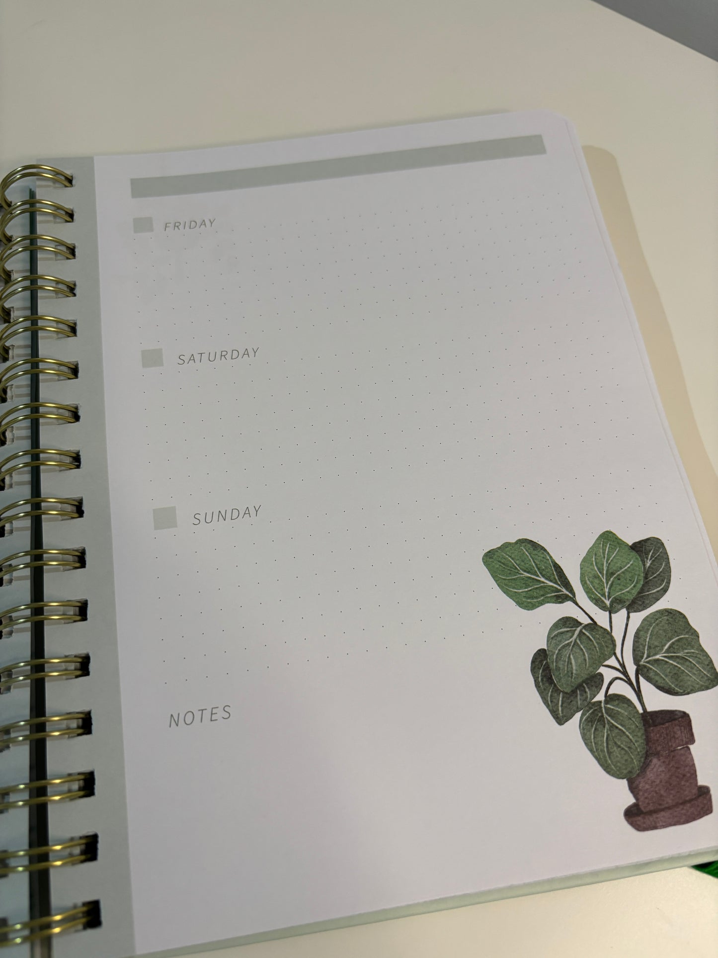 The Plant Lady Journal (Undated)
