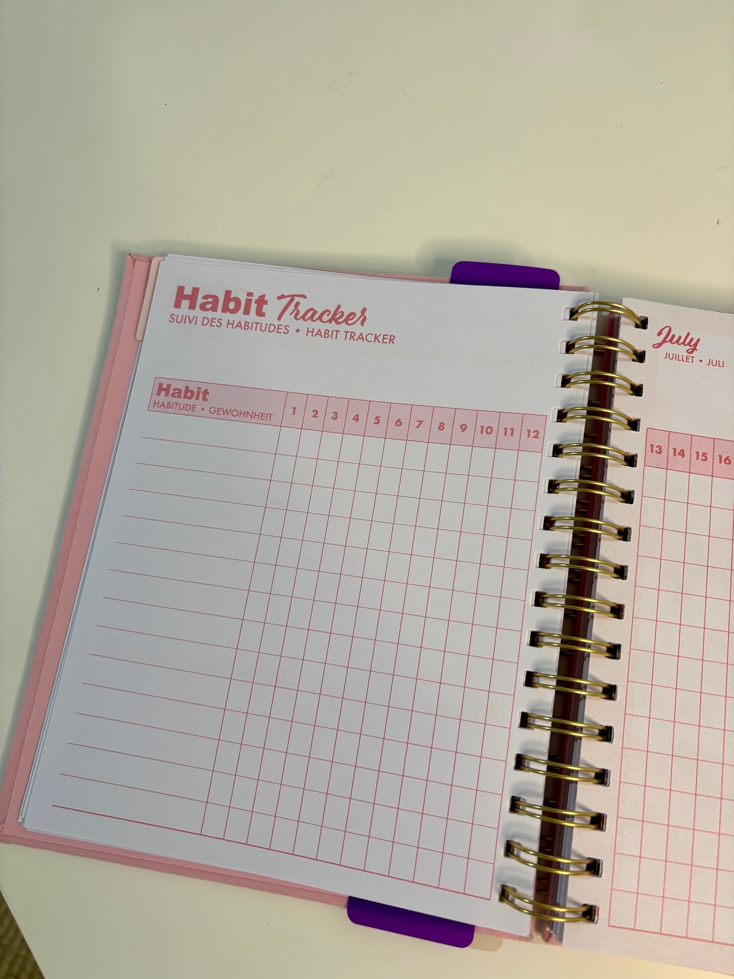 Butterfly Selfcare Journal (2025-2026)